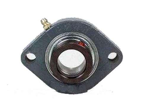 FHFD202-10 Bearing Flange 2 Bolt 5/8"