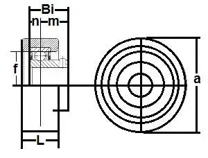 Vòng Trong Hẹp Cartridge Cao Su RCSM-17S Ổ Bi 1 1/16"