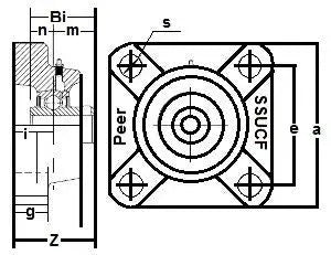 Vòng đệm thép không gỉ SSUCF-206-19, 4 bu lông, vòng bi gắn lỗ 1 3/16