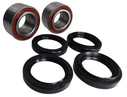 Arctic Cat 300 ATV Rear Wheel Bearing Kit 1998-2004
