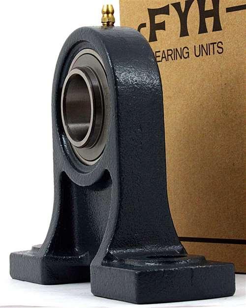 FYH Bearing UCPH205-16 1 Pillow Block Mounted Bearing