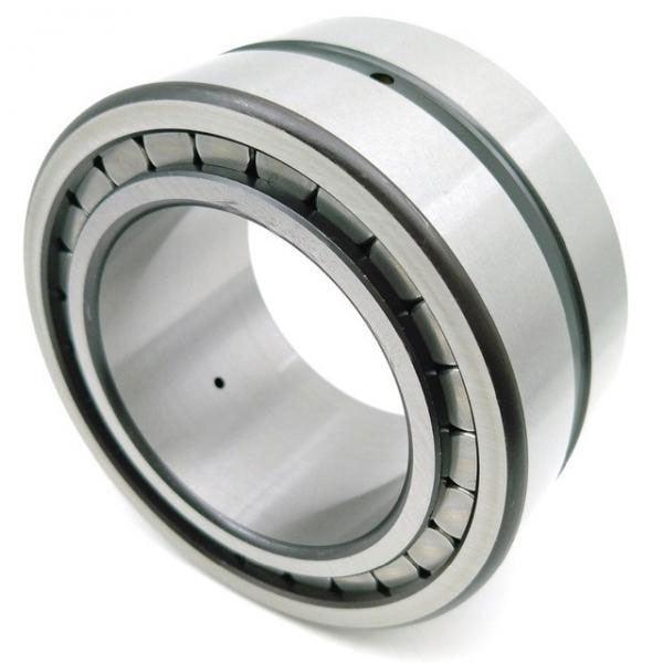 SL014916 Sheave Bearing 2-Row Full Complement Bearing 80x110x30mm
