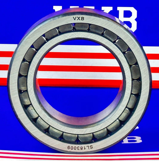 SL183009 Sheave Bearing 2-Row Full Complement Bearing 45x75x23mm